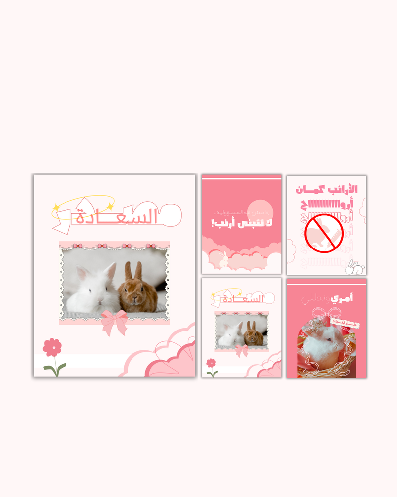 تصميم بوستات أرانب🤍
