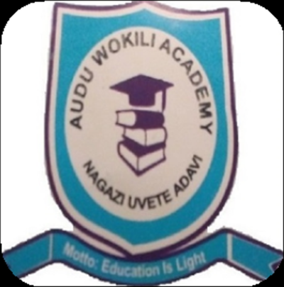 Audu Wokili  Academy