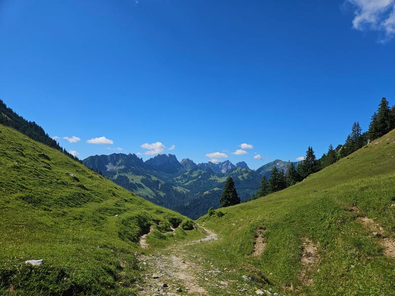 AU PAYS DU DRAGON DU KAISEREGG - 2024