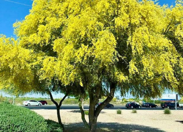 Let's Start With a Definition