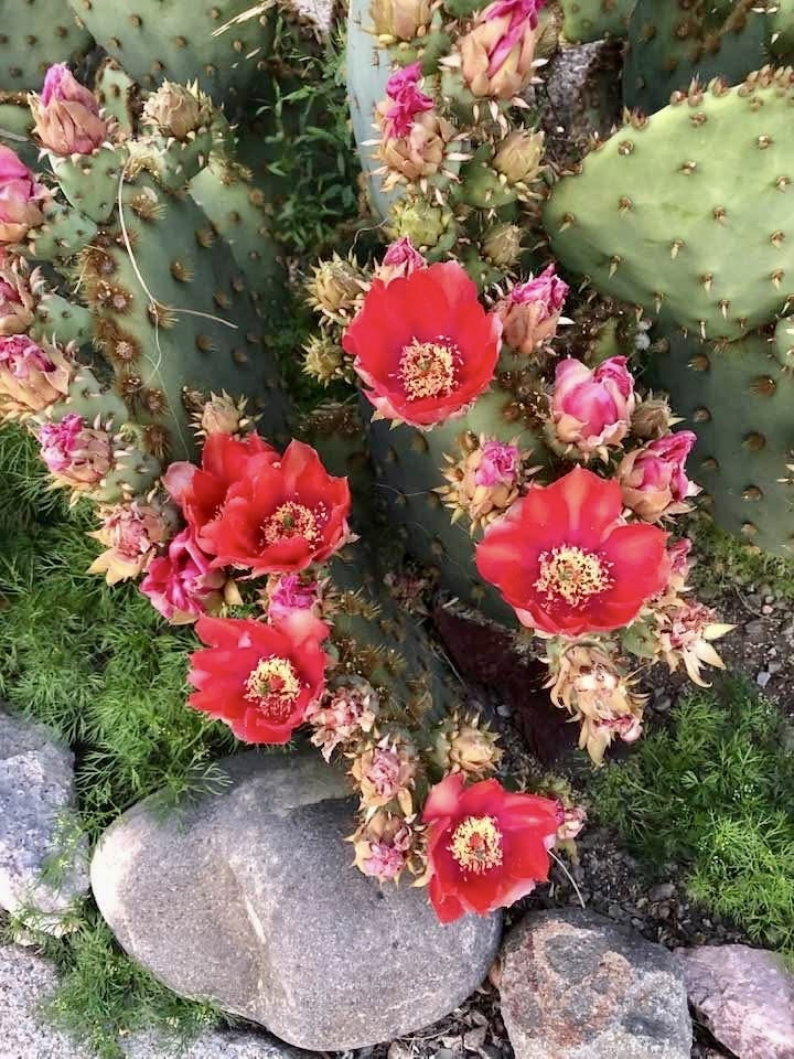 Writing Starts with Thinking