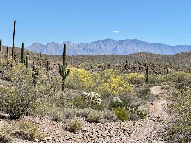 I Used To Be a Purist