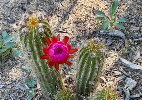 Continuing the Research Process