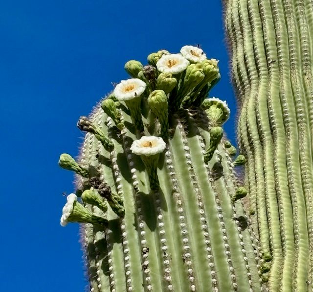 Writing Conference Take-Away #1