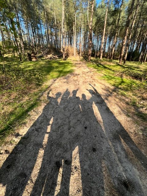 Inspiratiewandeling voor hulpverleners én coaches Individueel