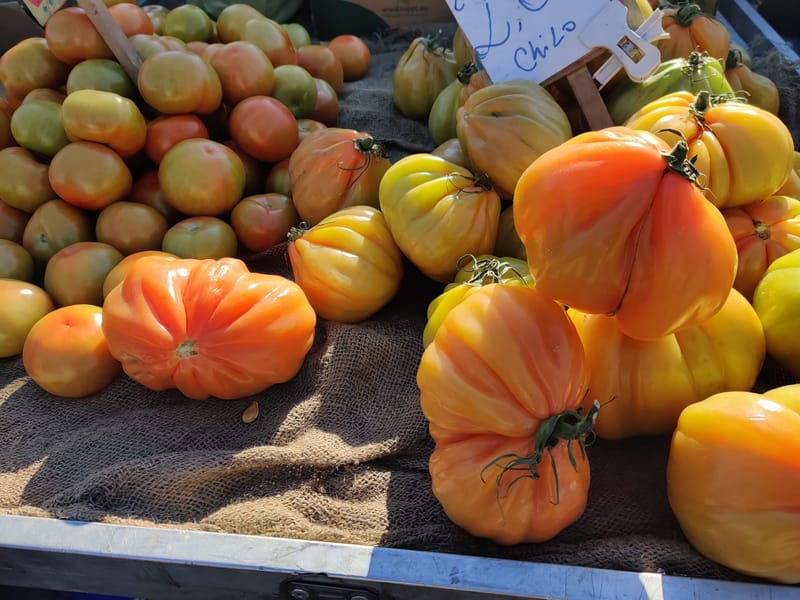 חבל פולייה (Puglia), הנמצא בדרום מזרח איטליה, ידוע כאחד האזורים היפים והאותנטיים במדינה. הוא משתרע לאורך העקב של "המגף" האיטלקי, וגובל בים האדריאטי ממזרח ובים היוני ממערב. פולייה מציעה חופים מדהימים, עיירות קסומות, היסטוריה עשירה ומטבח איטלקי משובח.מאפיינים עיקריים של האזורגאוגרפיה וטבעחבל פולייה מתאפיין בנופים מגוונים:חופים קסומים: האזור ידוע בחופים הארוכים והנקיים שלו, כמו אלה של חצי האי סלנטו והעיירה גאליפולי.שמורות טבע: ישנן שמורות טבע יפות כמו פארק גרגננו (Gargano), אזור הררי ירוק המשקיף לים האדריאטי.עצי זית: פולייה היא ביתם של עצי זית בני מאות שנים, וחבל הארץ מפורסם בשמן הזית האיכותי שלו.תרבות והיסטוריהפולייה הייתה צומת דרכים של תרבויות שונות לאורך ההיסטוריה: יוונים, רומאים, ביזנטים, ערבים ונורמנים הותירו את חותמם. הדבר ניכר בארכיטקטורה המקומית, בכנסיות, במבנים ההיסטוריים ובאווירה הרב-תרבותית.ערים ועיירות בולטותבארי (Bari): עיר הבירה של פולייה, מרכז עירוני ותוסס, עם עיר עתיקה מרשימה, רחובות צרים ומדרחוב מסחרי.אלברובלו (Alberobello): עיירה מפורסמת בזכות מבני הטרולי (Trulli) – בתי אבן ייחודיים בעלי גגות חרוטיים שהוכרו כאתר מורשת עולמית של אונסק"ו.לצ'ה (Lecce): לעיתים מכונה "פירנצה של הדרום" בזכות הארכיטקטורה הבארוקית המרהיבה שלה.אוסטוני (Ostuni): עיר לבנה היושבת על גבעה ומשקיפה לים האדריאטי.מטארה (Matera): אף שאינה שייכת לפולייה אלא לבזיליקטה השכנה, היא קרובה מאוד ומפורסמת בזכות בתי האבן העתיקים שנחצבו בסלע.מטבח מקומיהמטבח של פולייה נחשב לאחד מהאותנטיים והפשוטים באיטליה, והוא מבוסס על חומרי גלם מקומיים איכותיים:פסטות מיוחדות: כמו אורקייטה (Orecchiette), פסטה בצורת "אוזניים קטנות" שמוגשת עם רוטב ברוקולי או רוטב עגבניות.לחם וטארליני: לחם מעולה כמו הפוקצ'ה בארזית וקרקרים פריכים בשם טארליני.מאכלי ים: דגים טריים, מולים וסרטנים.גבינות: פולייה ידועה בייצור גבינת מוצרלה, בוראטה וריקוטה.יין ושמן זית: האזור הוא אחד המפיקים הגדולים באיטליה של שמן זית ויינות איכותיים, כמו פרימיטיבו ונגרומארו.פעילויות ואטרקציותסיורי יקבים ומטעי זיתים: חוויות טעימה וסיורים בכפרים חקלאיים.חופים ומים צלולים: אידיאליים לשחייה, צלילה ושיט.אירועים ופסטיבלים: כמו פסטיבל סנטה דומניקה בסקליה (Scorrano), עם תאורה מרהיבה.מתי כדאי לבקר?אביב וסתיו: מזג האוויר נעים יותר, ותיירים פחות רבים.קיץ: מתאים במיוחד לחובבי ים וחופים, אך יש לקחת בחשבון עומס תיירים.חבל פולייה הוא יעד מושלם למי שמחפש חוויה איטלקית מסורתית, אווירה רגועה ונופים מגוונים.