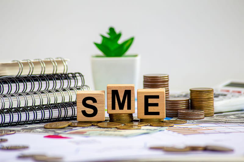 SMMES AND GROWTH BUSINESSES
