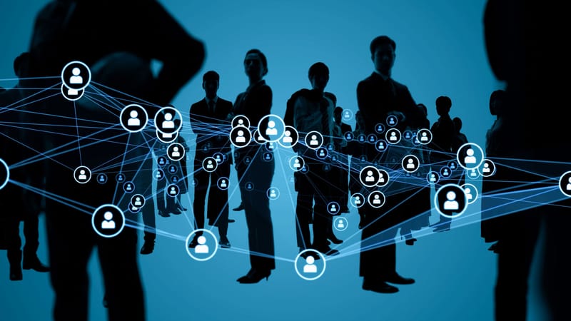 Business Networking and Opportunity Platform