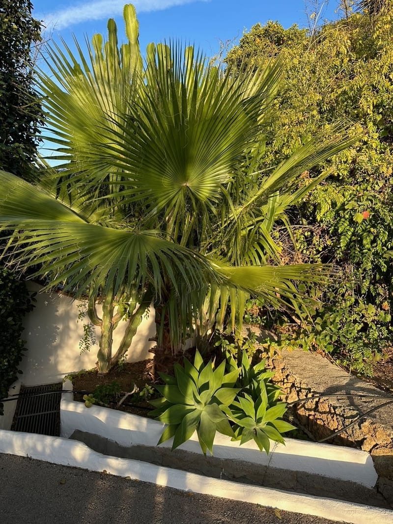 MAINTENANCE UPDATE AUGUST 2024