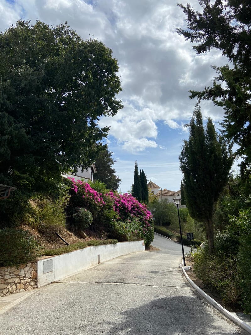 MAINTENANCE UPDATE OCTOBER 2024