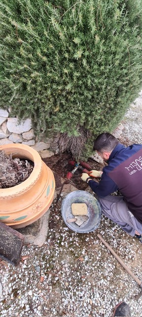 MAINTENANCE UPDATE DECEMBER 2024