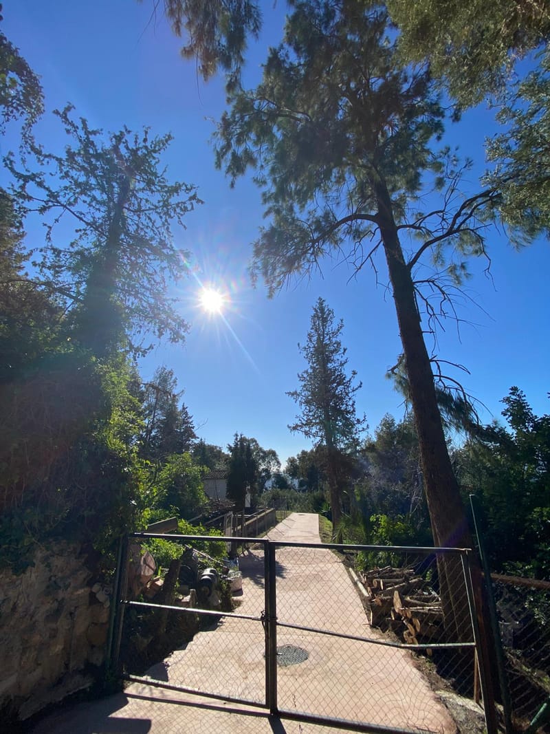 MAINTENANCE UPDATE JANUARY 2025