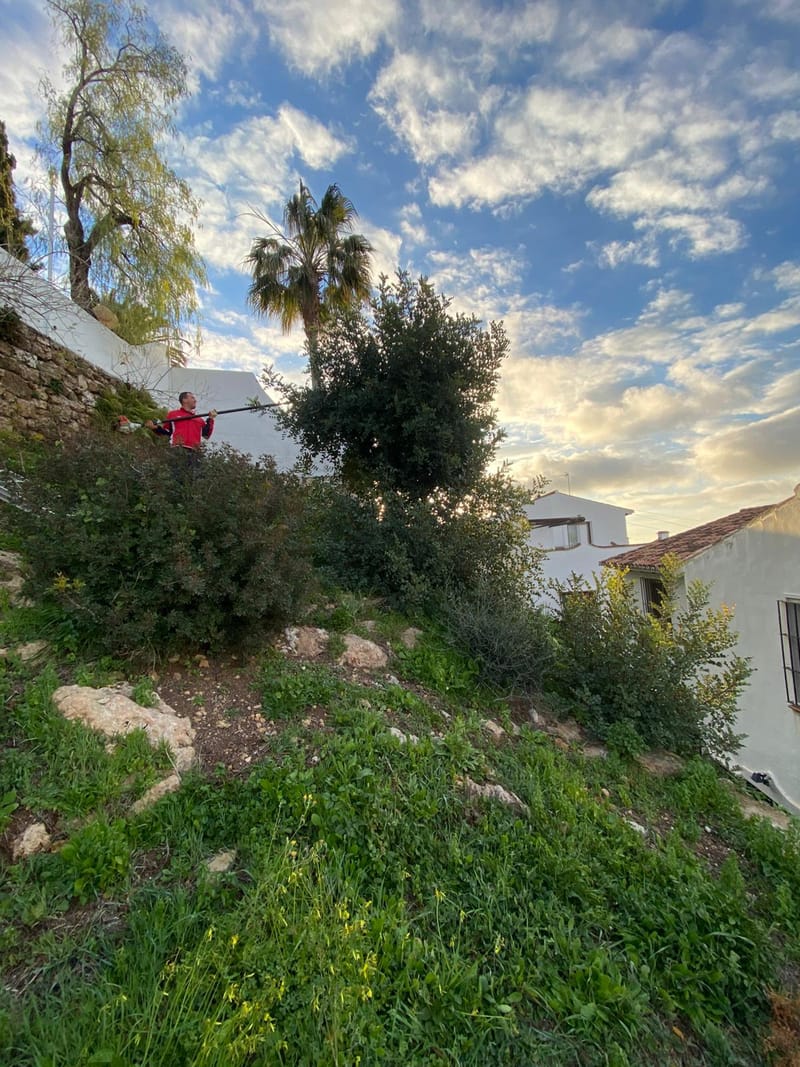 MAINTENANCE UPDATE FEBRUARY 2025