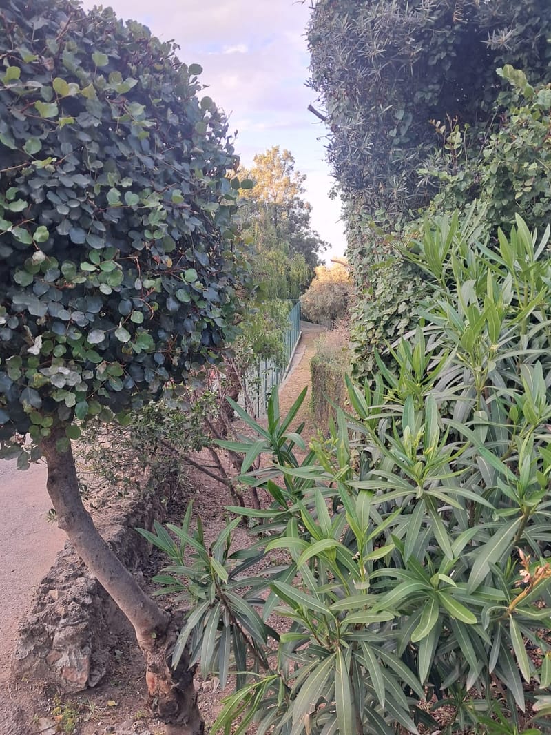 MAINTENANCE UPDATE MAY 2025