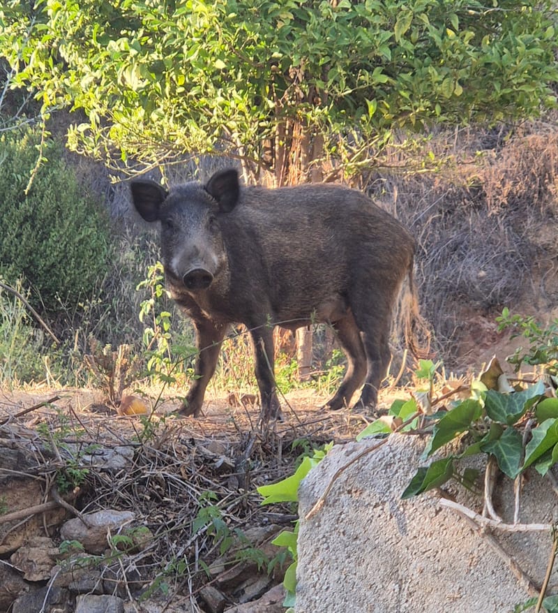 MAINTENANCE UPDATE SEPTEMBER 2025