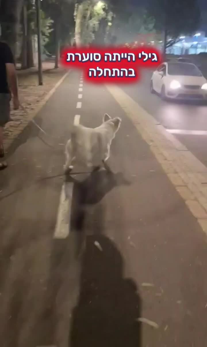 עריכת סרטונים
