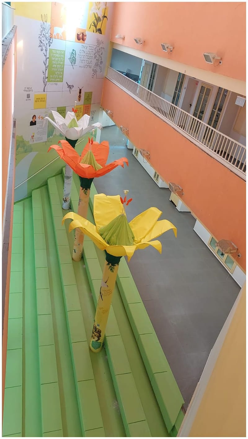 עיצוב מרחבי