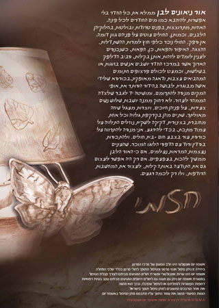 עיצוב כרזות