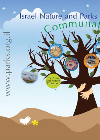 עיצוב כרזות