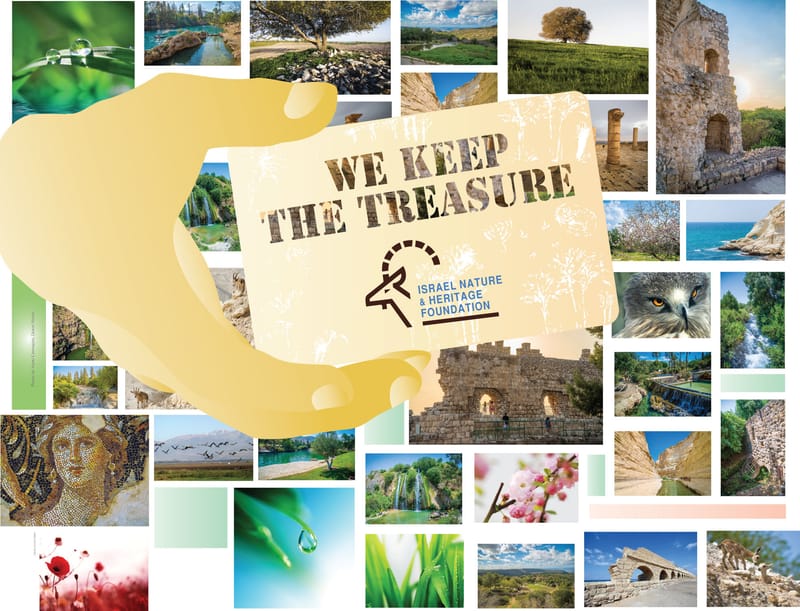 עיצוב כרזות