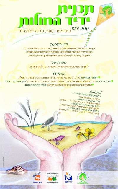 עיצוב כרזות