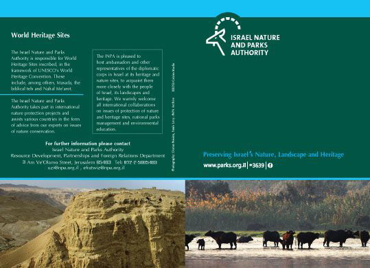 עיצוב גרפי מקצועי