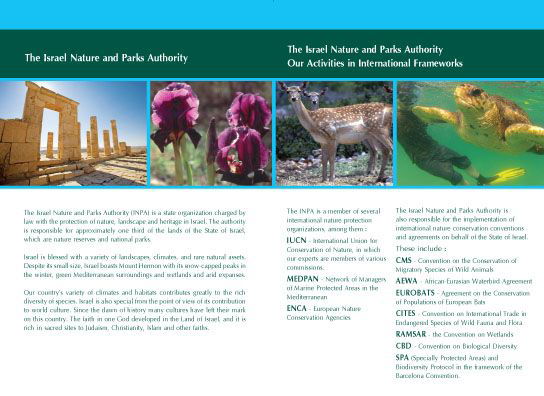 עיצוב גרפי מקצועי