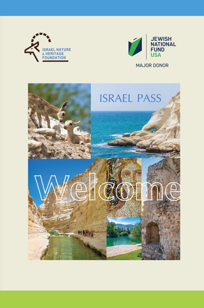 עיצוב גרפי מקצועי