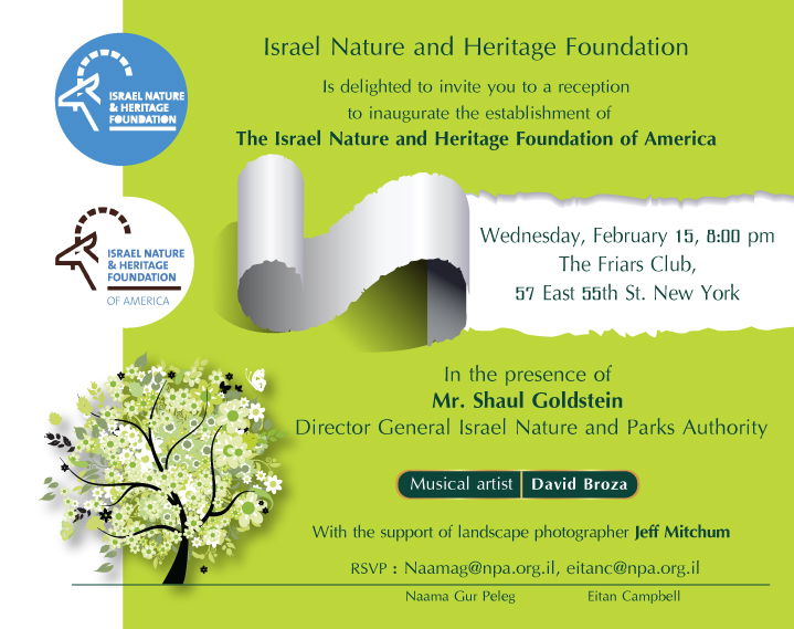 עיצוב גרפי מקצועי