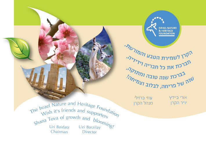 עיצוב גרפי מקצועי