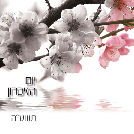 עיצוב גרפי מקצועי