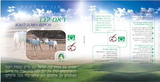 עיצוב גרפי מקצועי