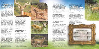 עיצוב גרפי מקצועי