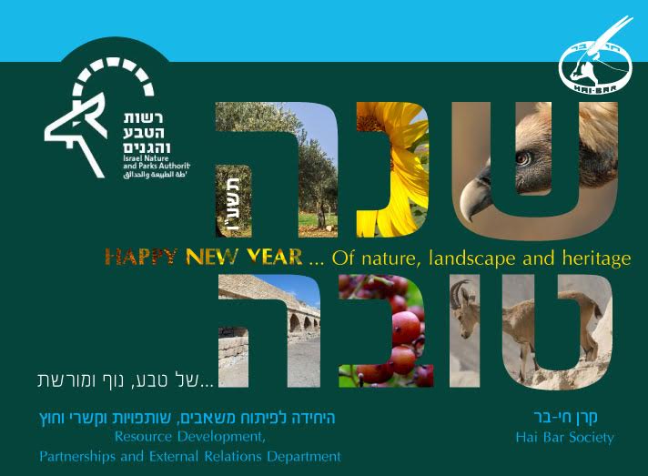 עיצוב גרפי מקצועי