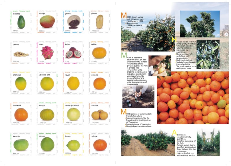 קטלוגים שונים