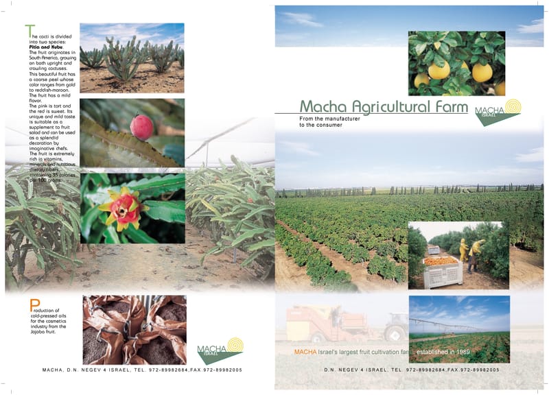 קטלוגים שונים