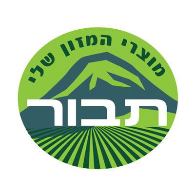עיצוב לוגו