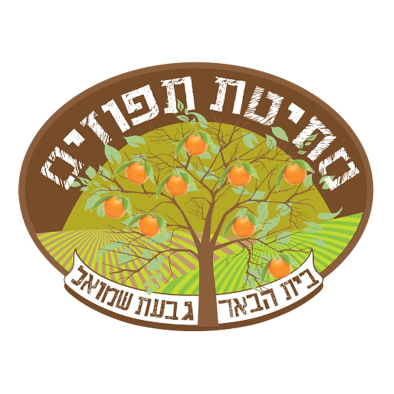 עיצוב לוגו