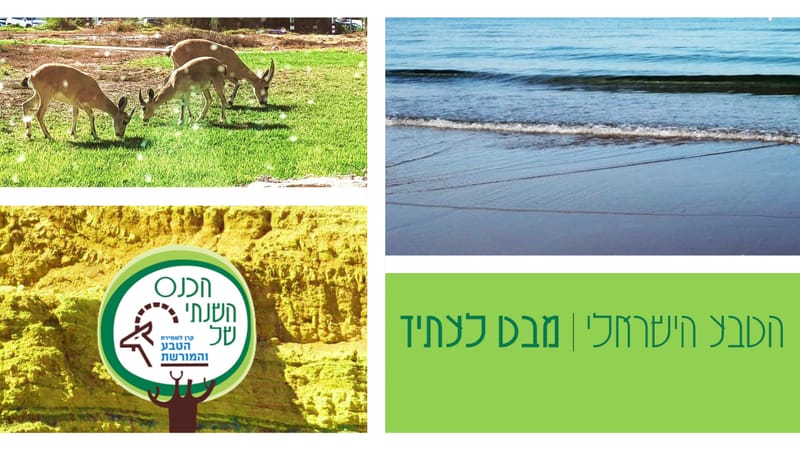 רשות הטבע והגנים