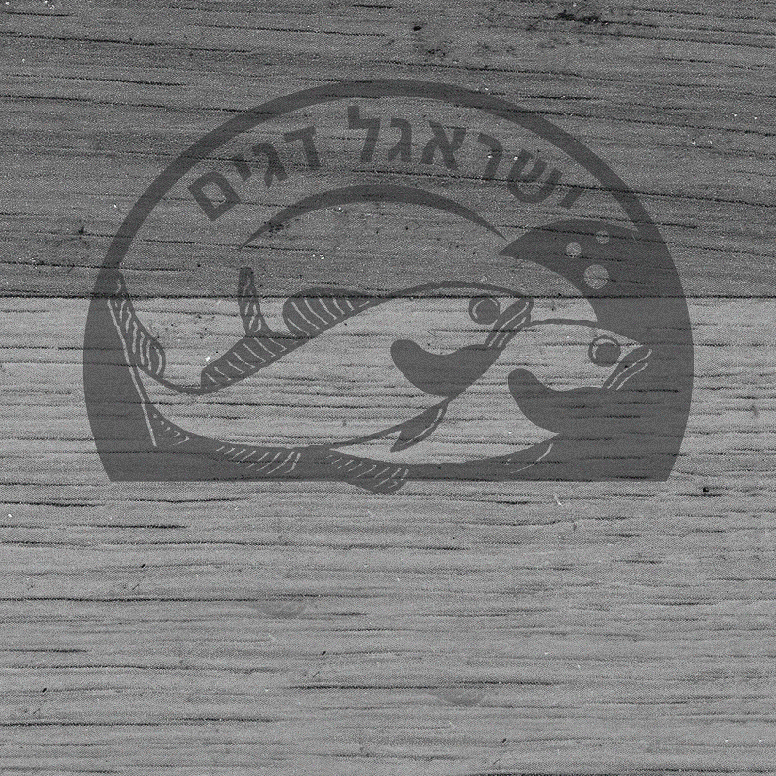 עיצוב דינמי לדיגיטל