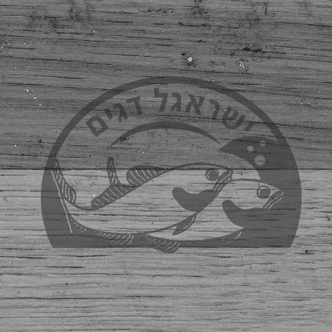 עיצוב דינמי לדיגיטל