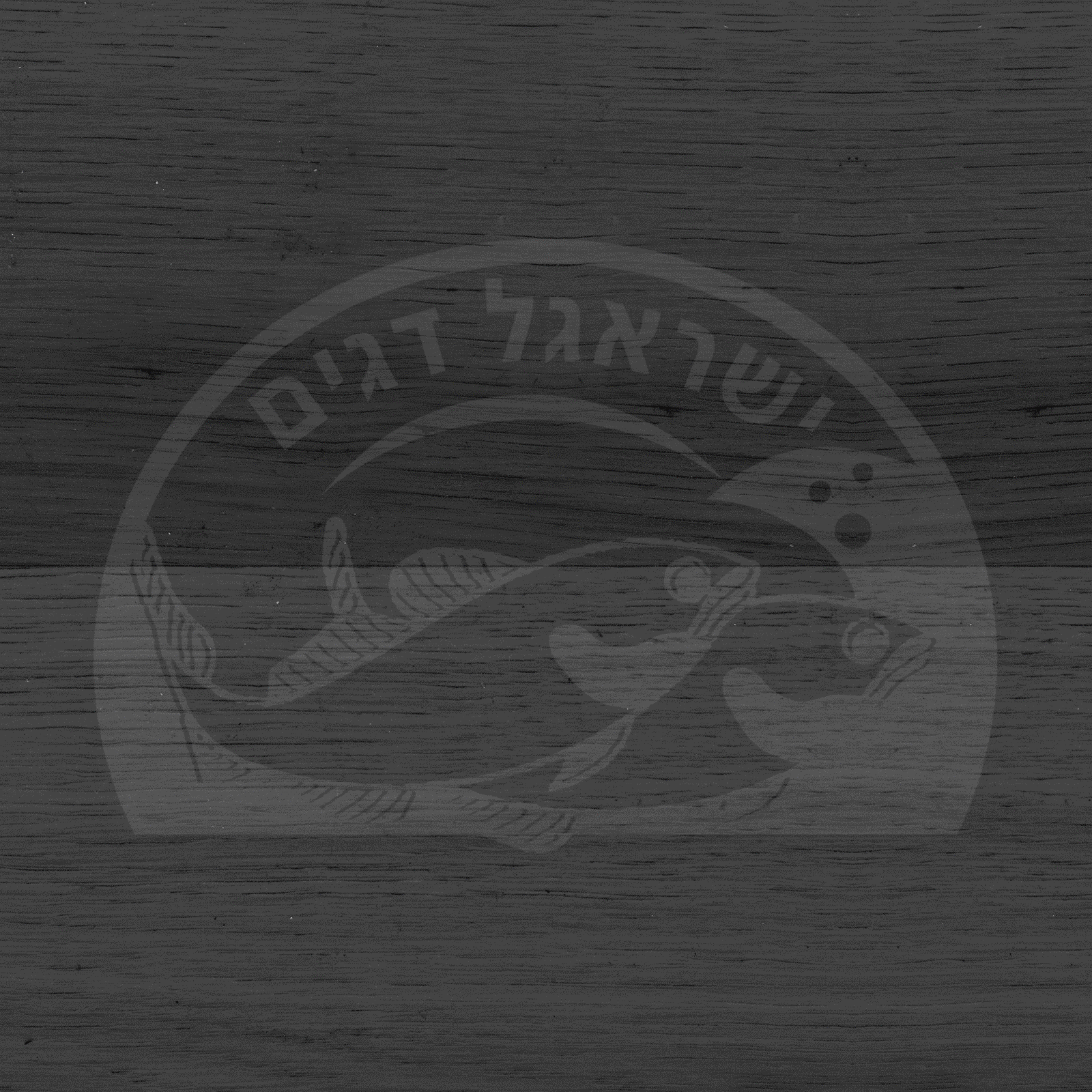 עיצוב דינמי לדיגיטל