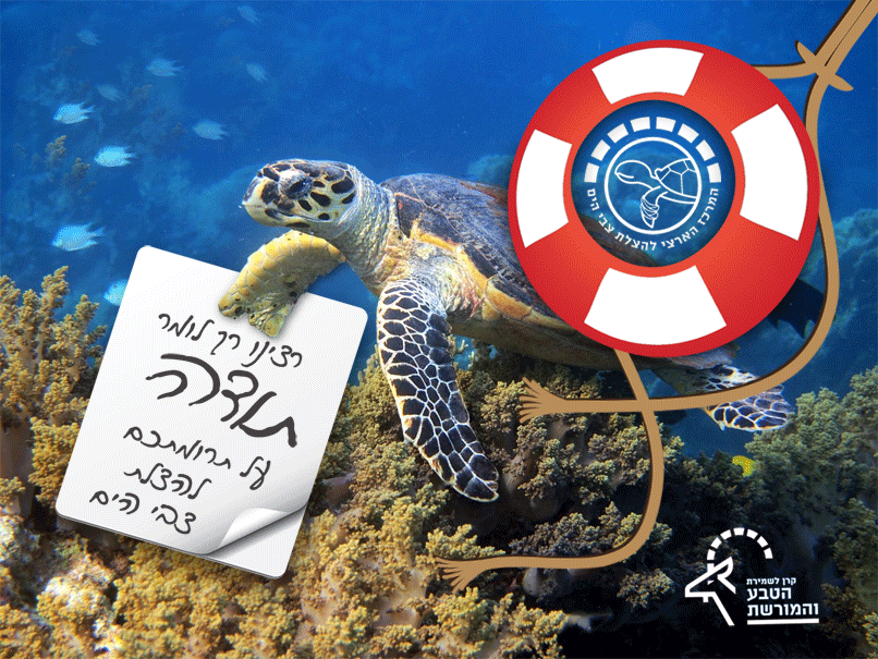 עיצוב דינמי לדיגיטל