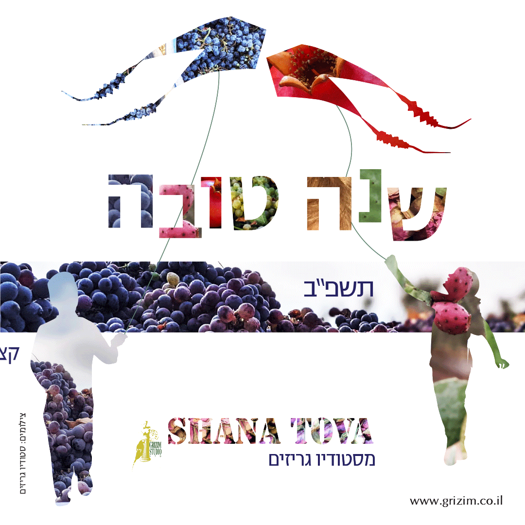 עיצוב דינמי לדיגיטל