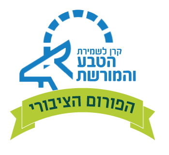 עיצוב לוגו