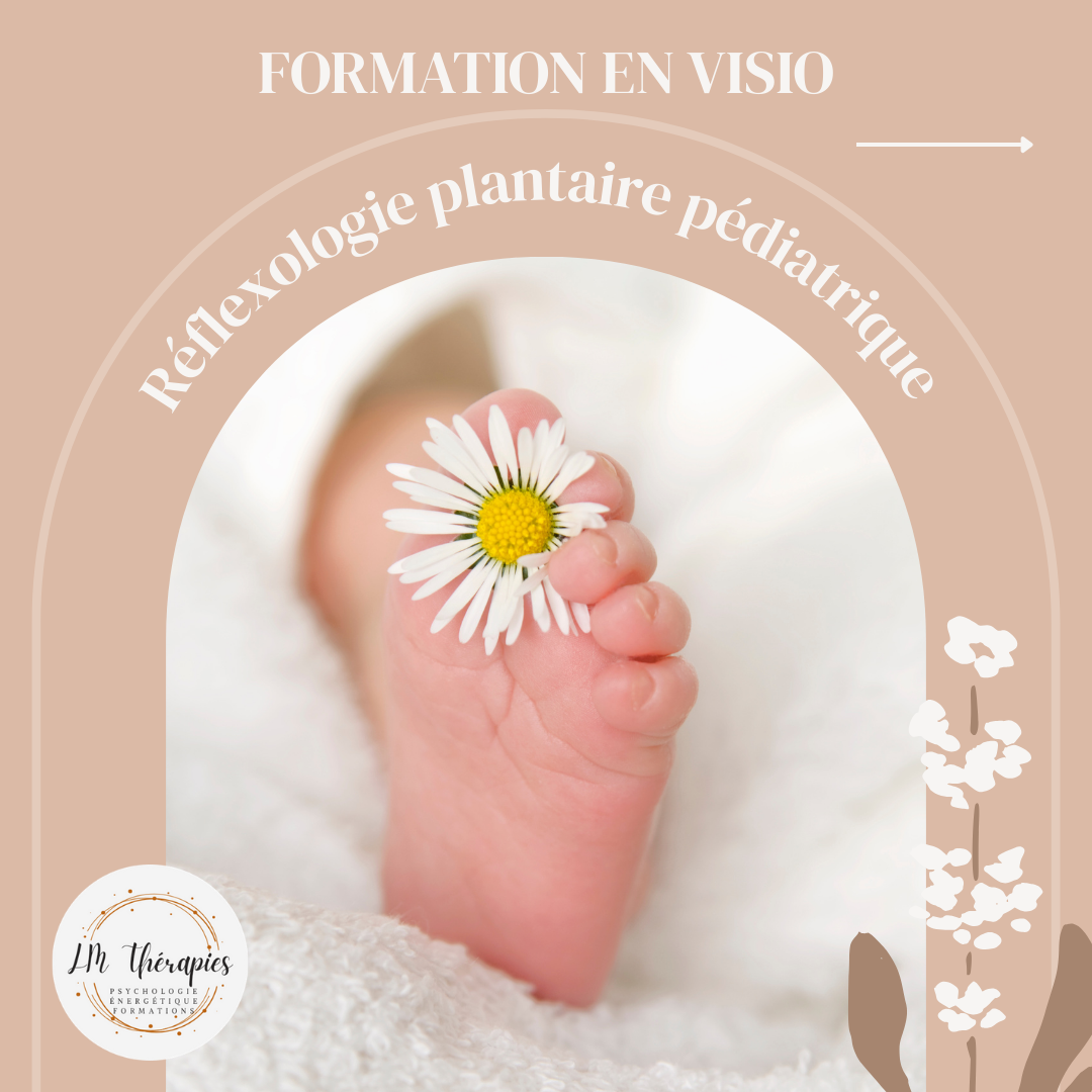 Prochaines sessions de formations : 