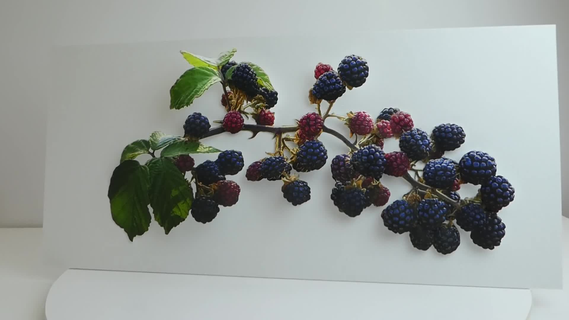 Blackberries