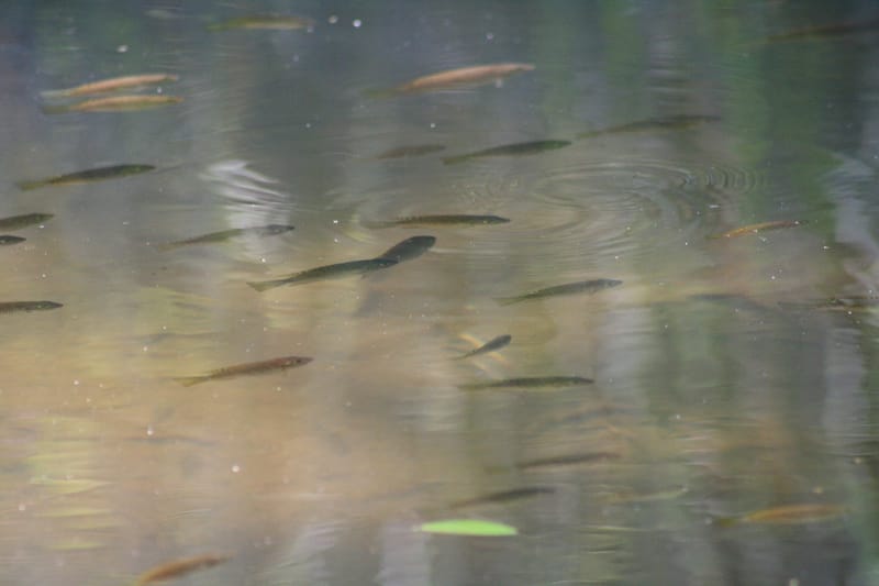 Creative writing workshop series@ CCUMC