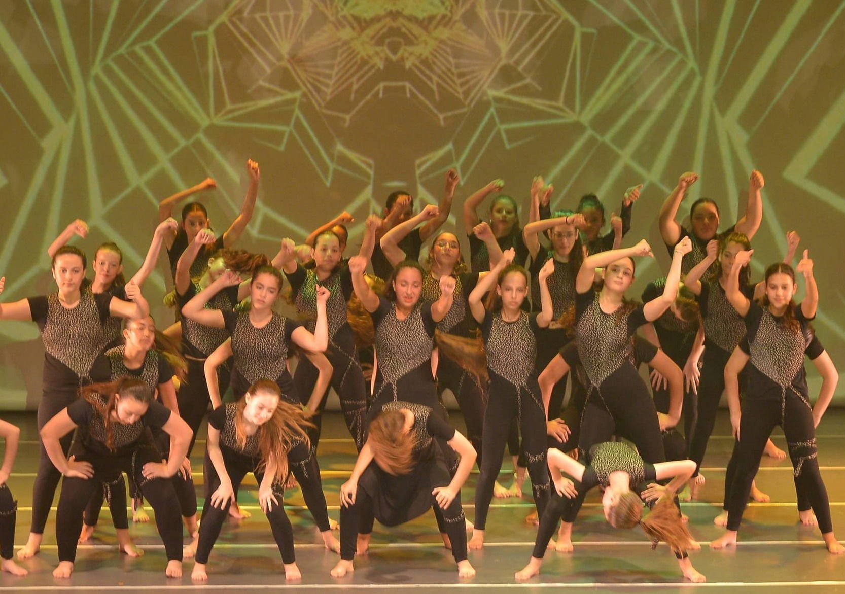 מופע סוף שנה - "ריקוד מהלב"