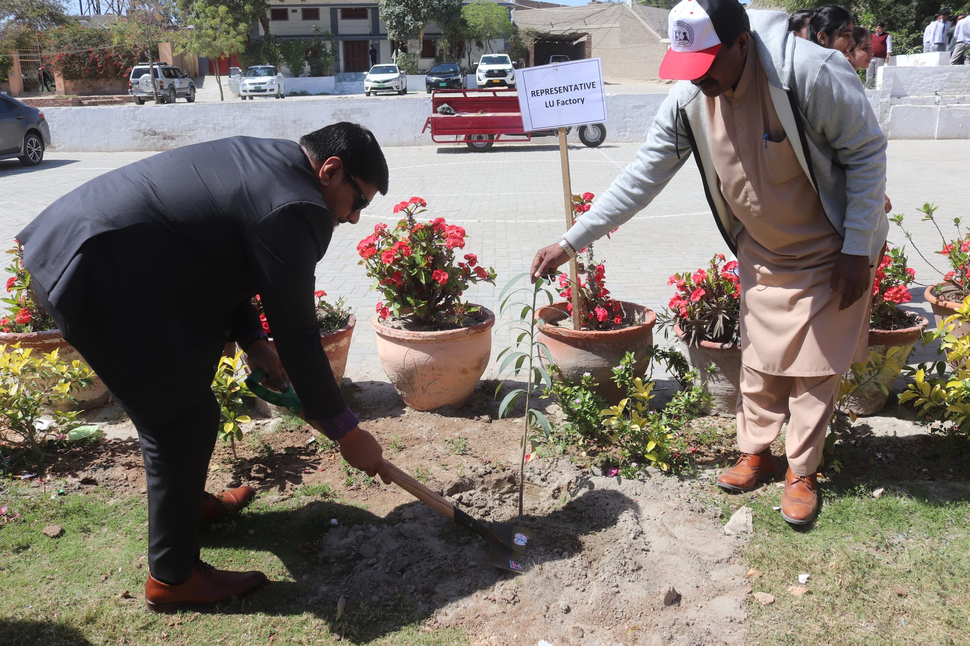 Tree Plantation